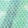 Mint Bon Voyage Shells