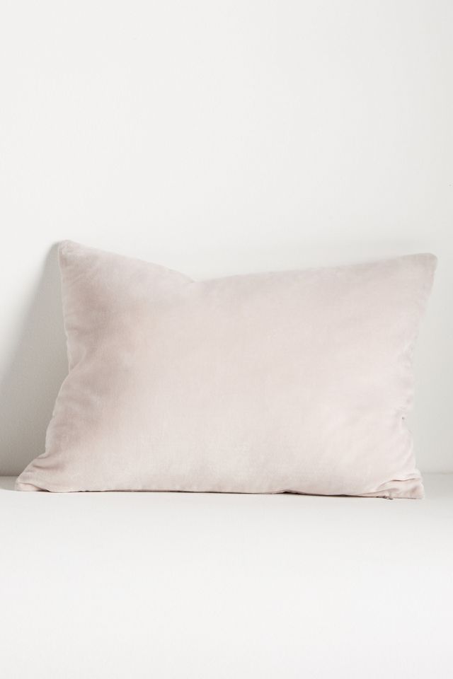 Embroidered Velvet Frame Pillow #2