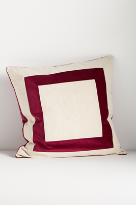 Anthropologie Velvet Frame Pillow