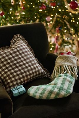 Ana Cotton Gingham Printed Ruffle Pillow
