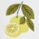 Lemon 18x18