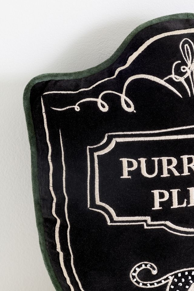 Laurie Cotton Velvet Embroidered Novelty Pillows #2