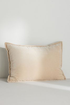 Shop Anthropologie Velvet Trova Cushion