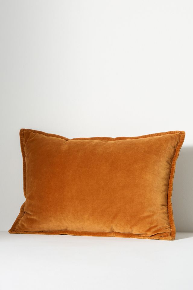 Velvet Trova Cushion #6