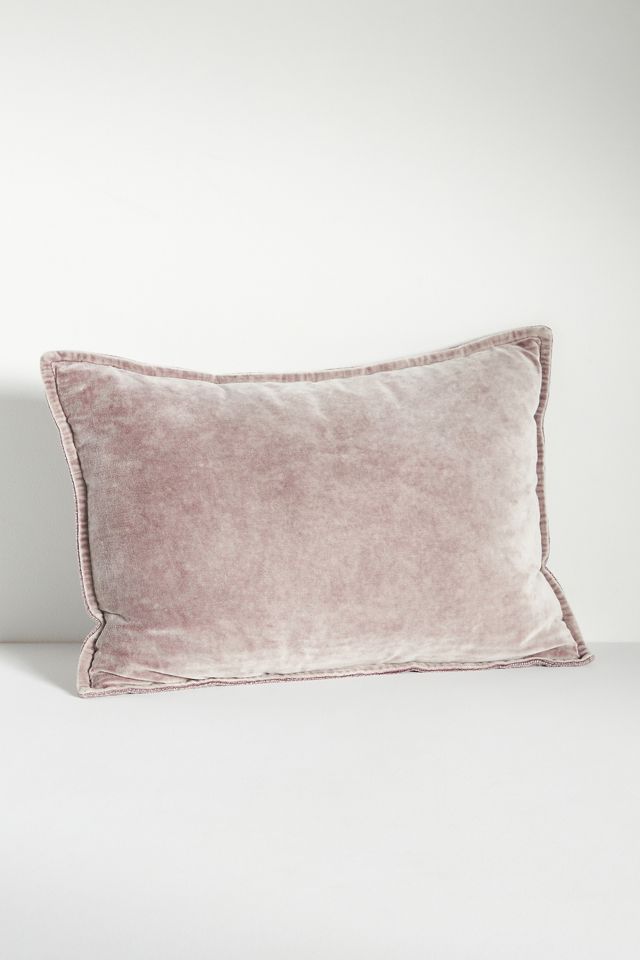 Velvet Trova Pillow #2