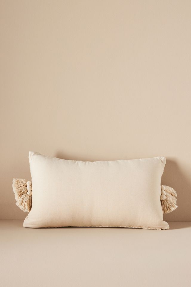 Embroidered Stina Pillow #3