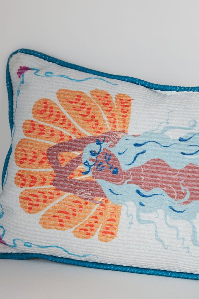 Brizo Indoor/Outdoor Pillow #2