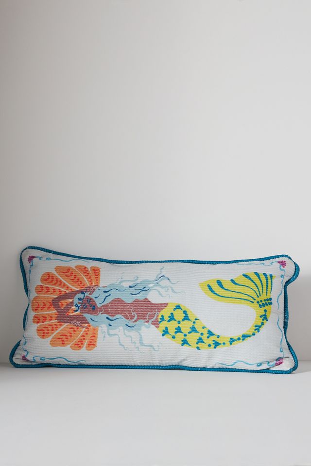Brizo Indoor/Outdoor Pillow #1