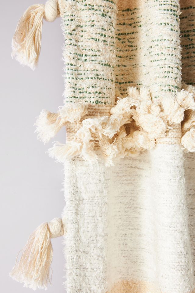 All Roads Yucca Curtain #1