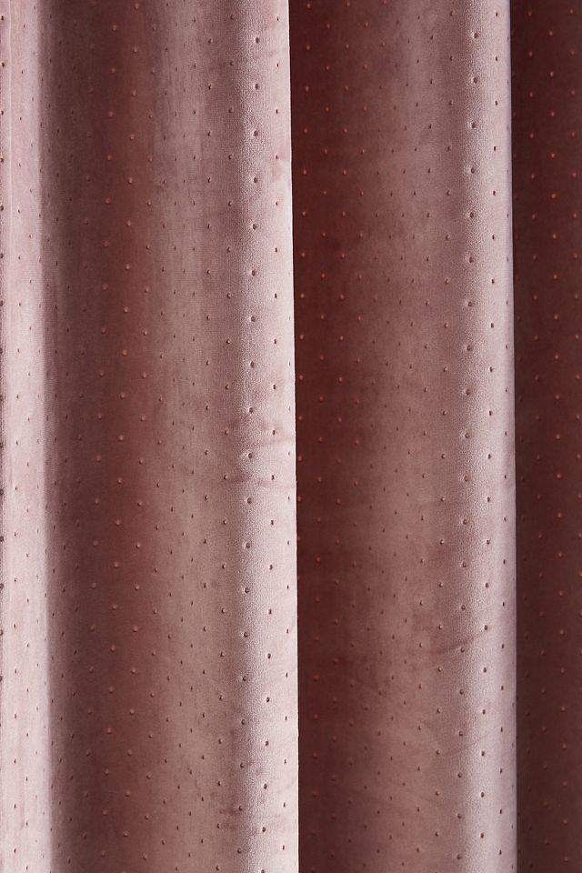 Velvet Louise Curtain | AnthroLiving