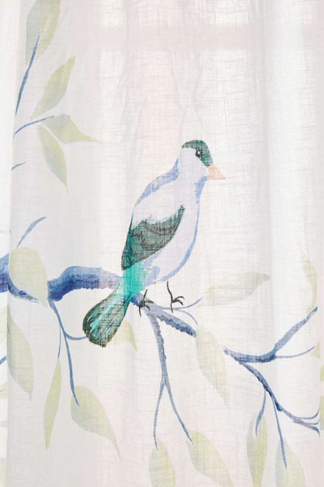 Jasmine Curtain #1