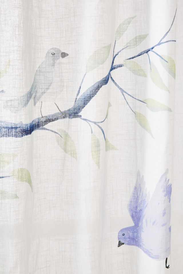 Jasmine Curtain #2
