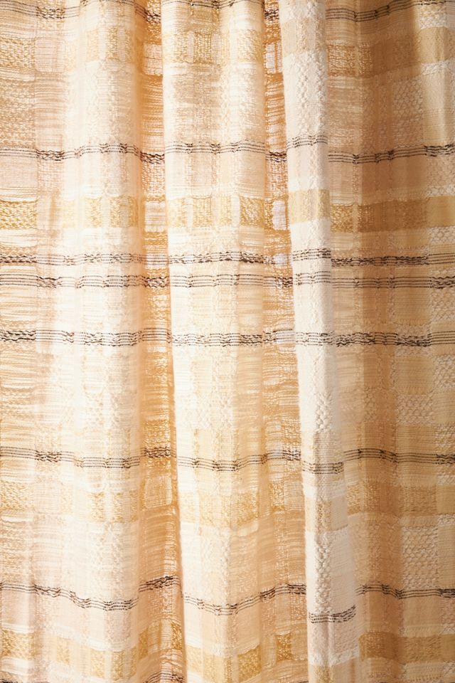 Penny Curtain #1