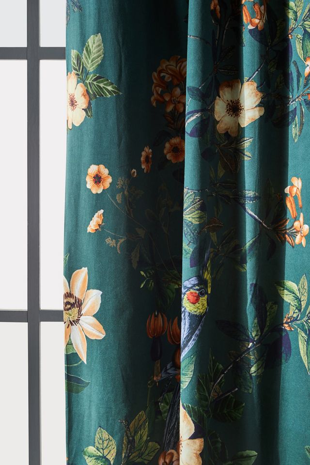 Henrik Curtain #1