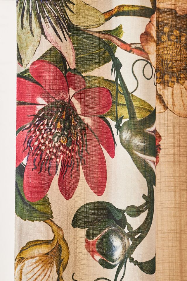 Rowena Curtain #1