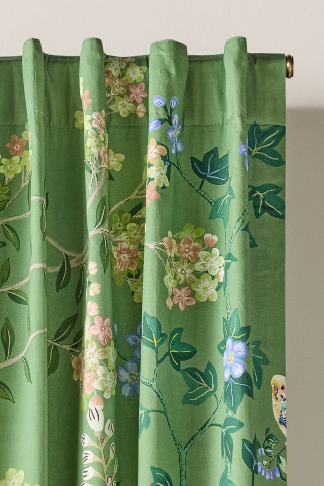 Wynnie Cotton Printed Curtain | AnthroHome