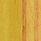 Maize