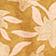 Ochre