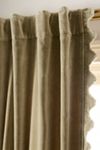 Trova Velvet Scalloped-Edge Curtain