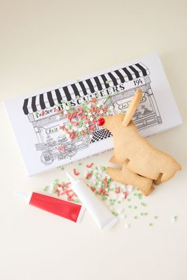Biscuiteers 3D DIY Reindeer