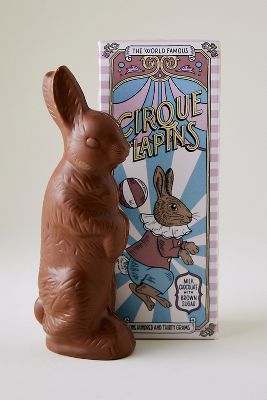 The Chocolate Gift Company Chocolate Circus Bunny