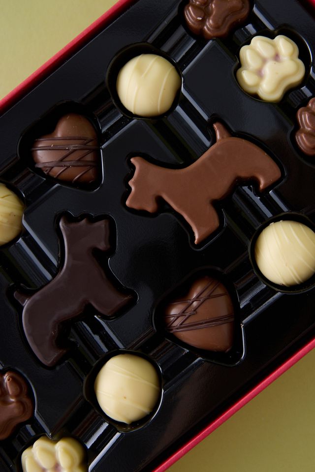 The Chocolate Gift Company Snowy Paws Chocolate Gift Box #1