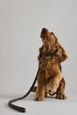 Barbour Tartan Dog Lead