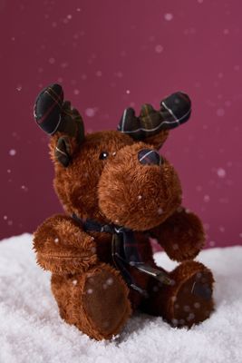 Juguete para Perro Reno Barbour