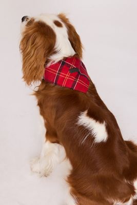 Pañuelo de Tartán para Perro Barbour