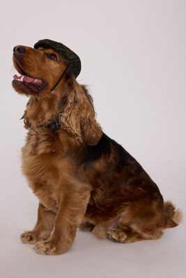 Barbour Wilkin Dog Flat Cap