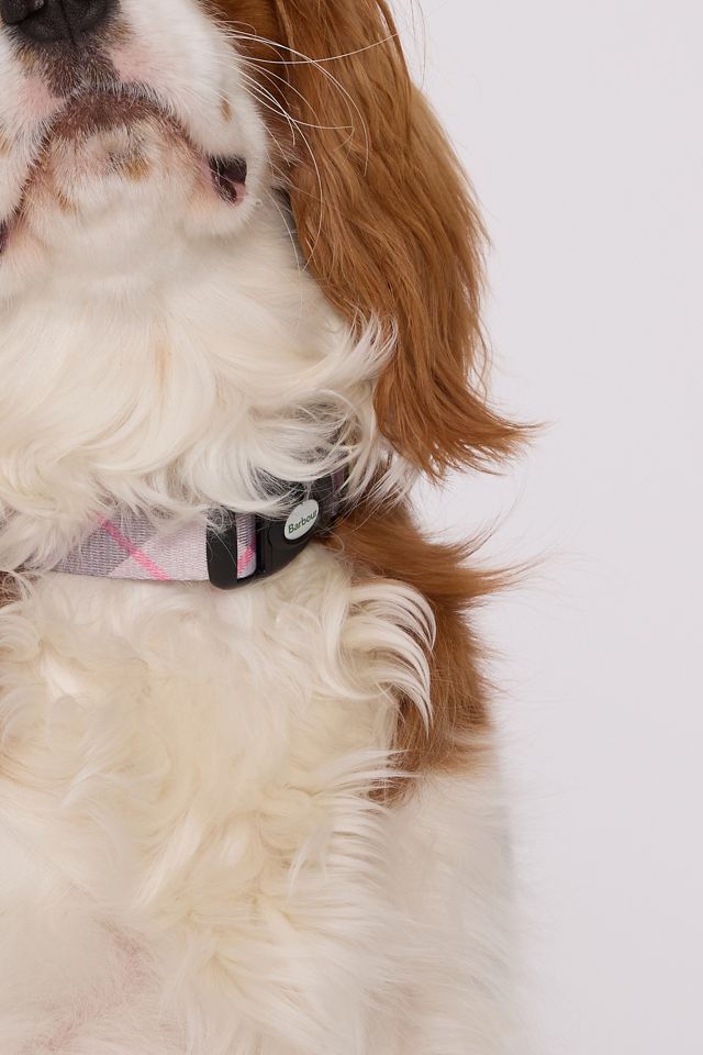 Barbour Pink Tartan Dog Collar #2