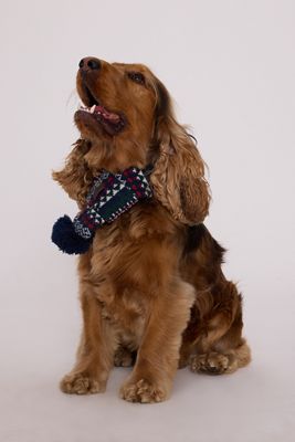 Barbour Marlow Dog Scarf