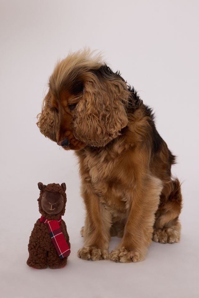Barbour Llama Dog Toy #1