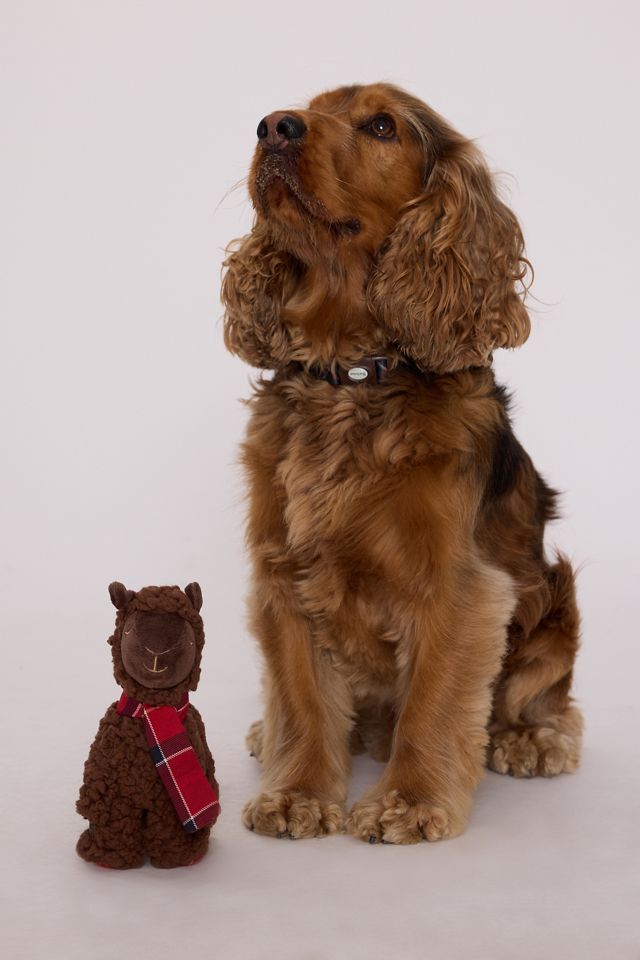 Barbour Llama Dog Toy #3