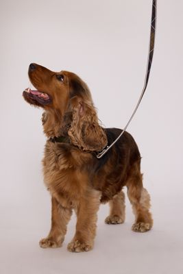 Barbour Tartan Reflective Dog Lead