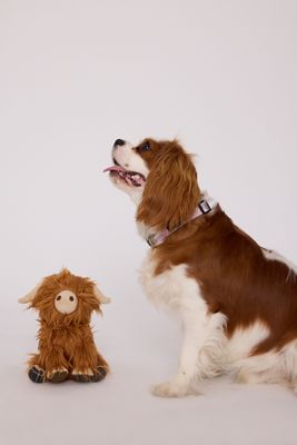 Barbour Highland Cow Dog Toy