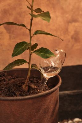 Ferm Living Mercury Water Globes, Set of 2
