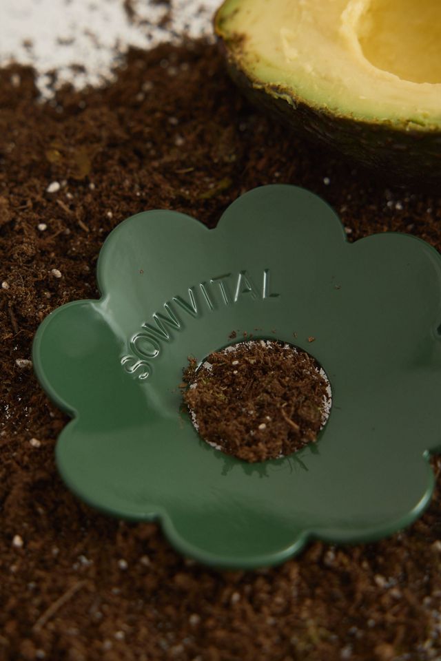 Sowvital Stainless Steel Germination Disc #2