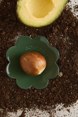 Disco di Germinazione in Acciaio Inossidabile Sowvital