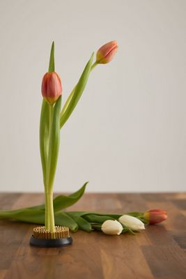 Sowvital Ikebana Kenzan Flower Spike