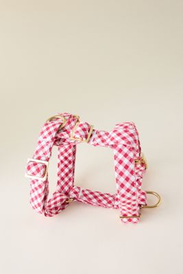 The Foggy Dog Gingham Hundegeschirr