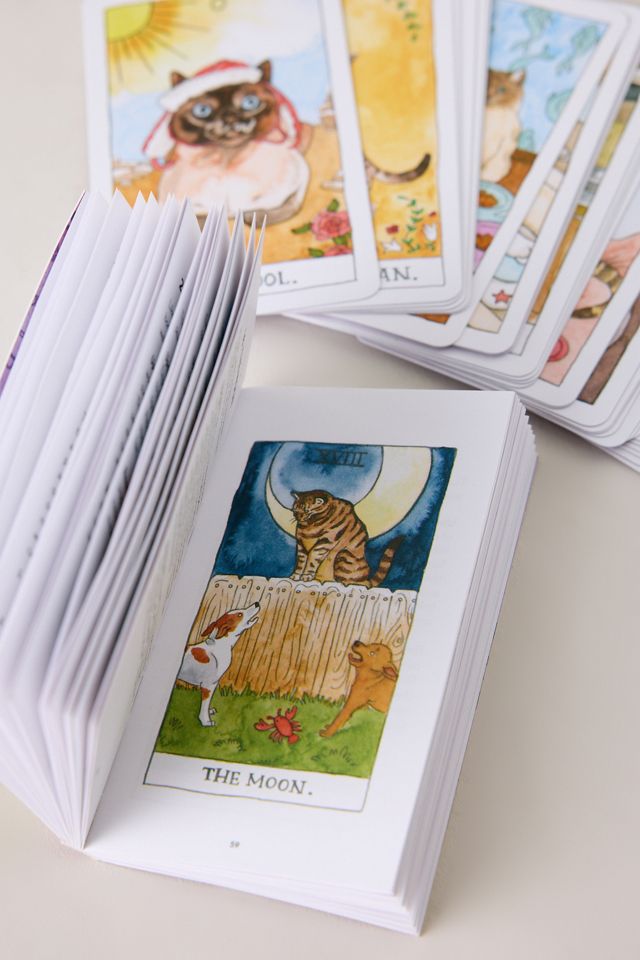 Cartas de Tarot de Gatos Abrams & Chronicle #3