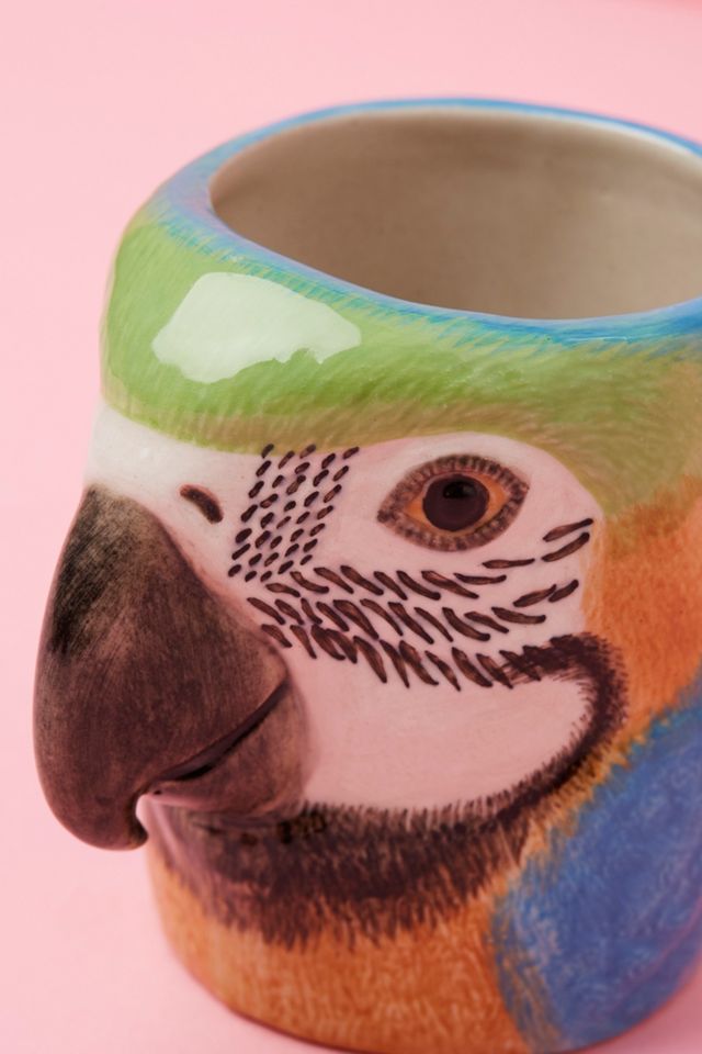 Olla de lápiz de guacamayo de Quail #1