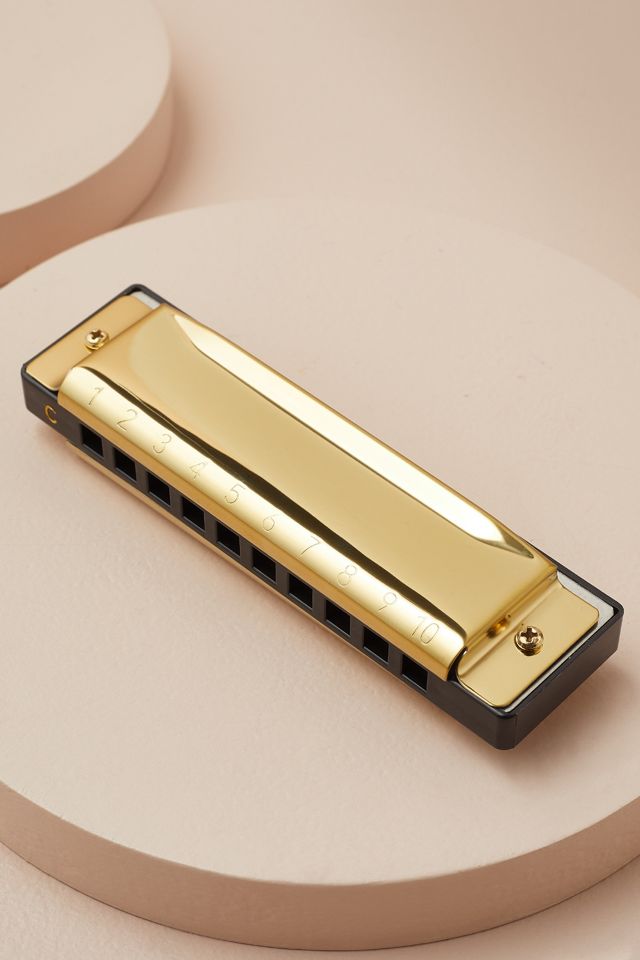 Make Your Own Harmonica #2