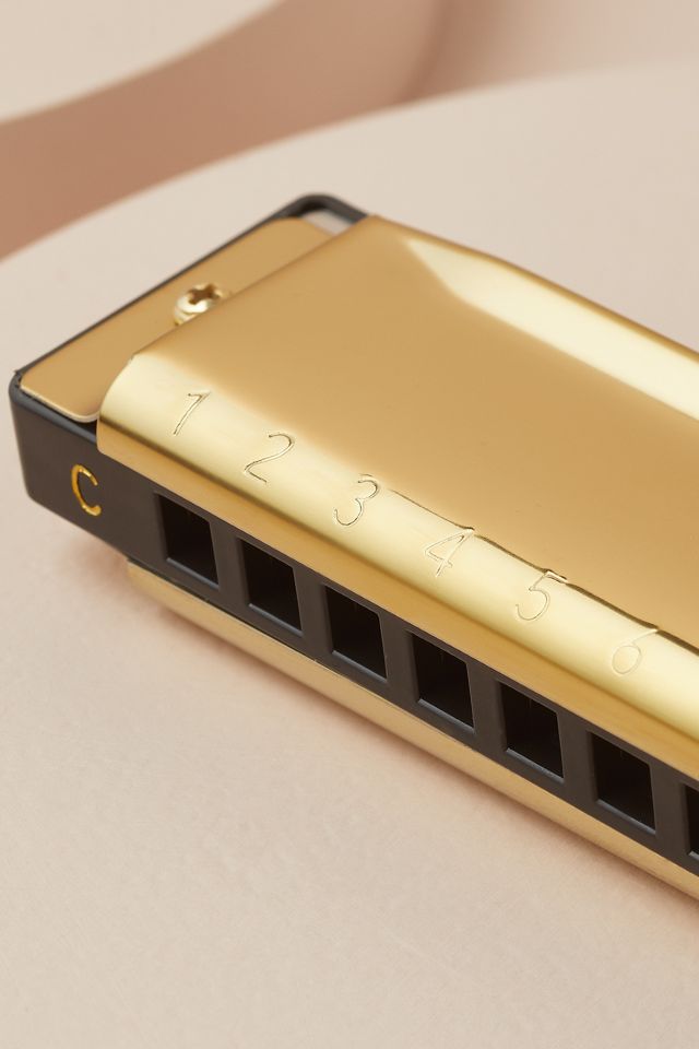 Make Your Own Harmonica #3