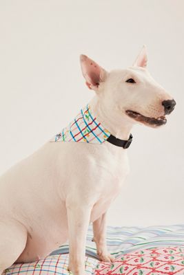Damson Madder Tulip Check Pet Neckerchief