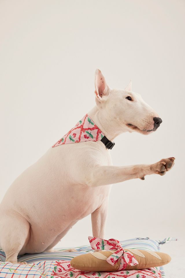 Damson Madder Patchwork Pet Bed #2