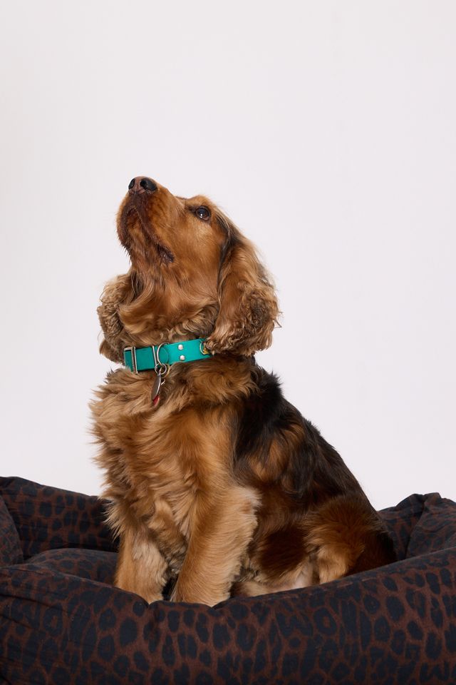 Damson Madder Leoparden-Hundebett #2