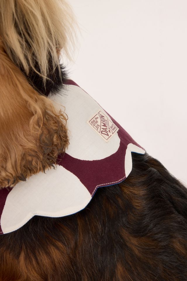 Damson Madder Neuheits-Hundehalsband #1
