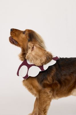 Damson Madder Neuheits-Hundehalsband